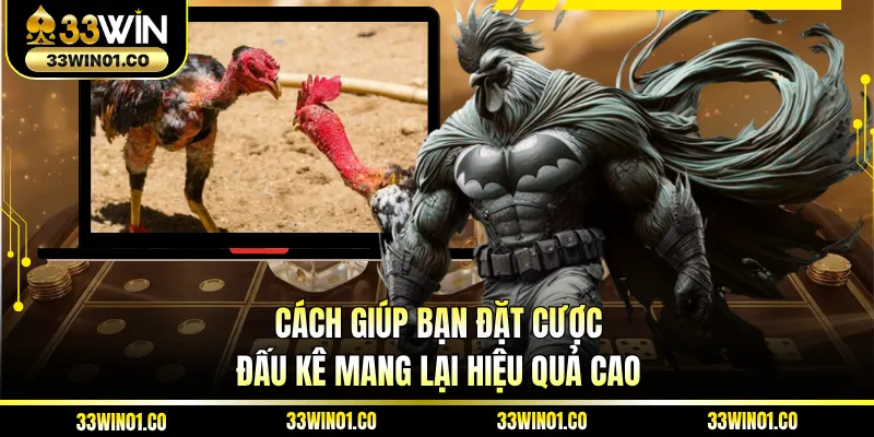 Cách giúp bạn đặt cược đấu kê mang lại hiệu quả cao