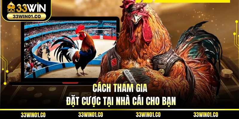 Cách tham gia đặt cược tại nhà cái cho bạn