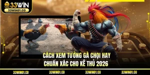 Cách Xem Tướng Gà Chọi Hay - Chuẩn Xác Cho Kê Thủ 2026
