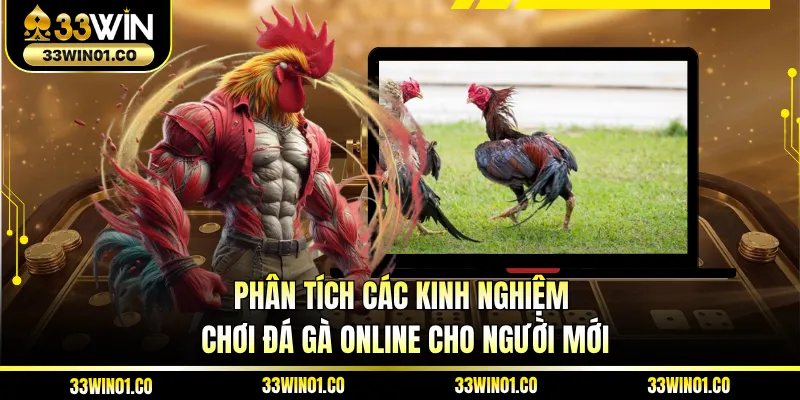 Phân tích các kinh nghiệm chơi đá gà online cho người mới 