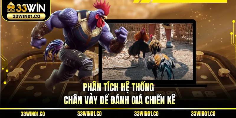 Phân tích hệ thống chân vảy để đánh giá chiến kê